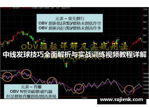 中线发球技巧全面解析与实战训练视频教程详解