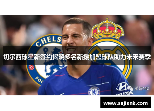 切尔西球星新签约揭晓多名新援加盟球队助力未来赛季