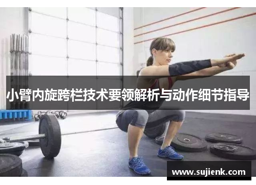 小臂内旋跨栏技术要领解析与动作细节指导