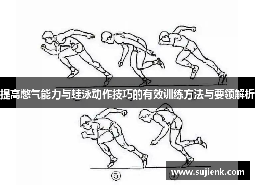 提高憋气能力与蛙泳动作技巧的有效训练方法与要领解析