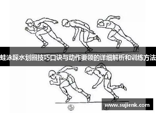 蛙泳踩水划圈技巧口诀与动作要领的详细解析和训练方法