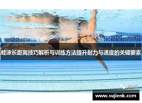 蛙泳长距离技巧解析与训练方法提升耐力与速度的关键要素